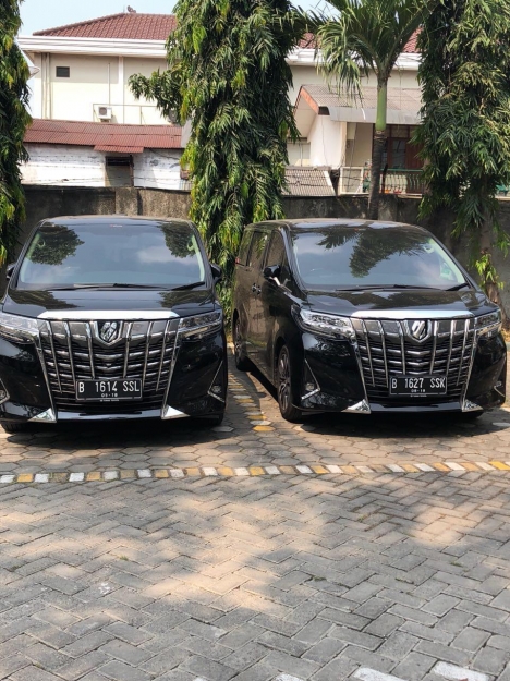 ALL NEW ALPHARD